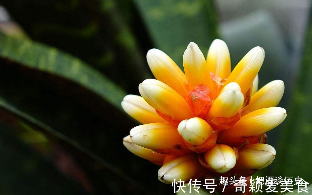 秘密#做人,守好了这四个“遮羞布”,自然能多福少祸