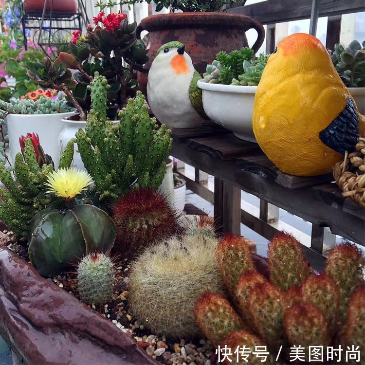 阳台|DIY改造17㎡屋顶花园,忙得不亦乐乎,在喧嚣城市打造一隅静谧