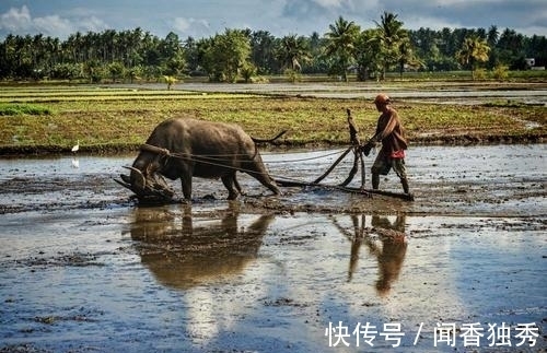 老牛&刘叉的两首五绝,语言凝练,寓意深远,果然是不凡才子