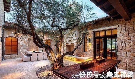 池塘|假如我有一个庭院,我会晒晒太阳种种花,带你看遍世间繁华