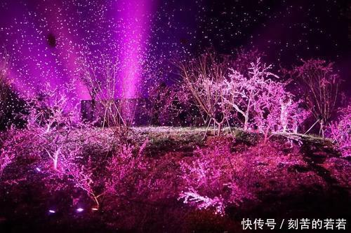 桃花源记记录的不是人间仙境有三个细节，看懂后背后发凉