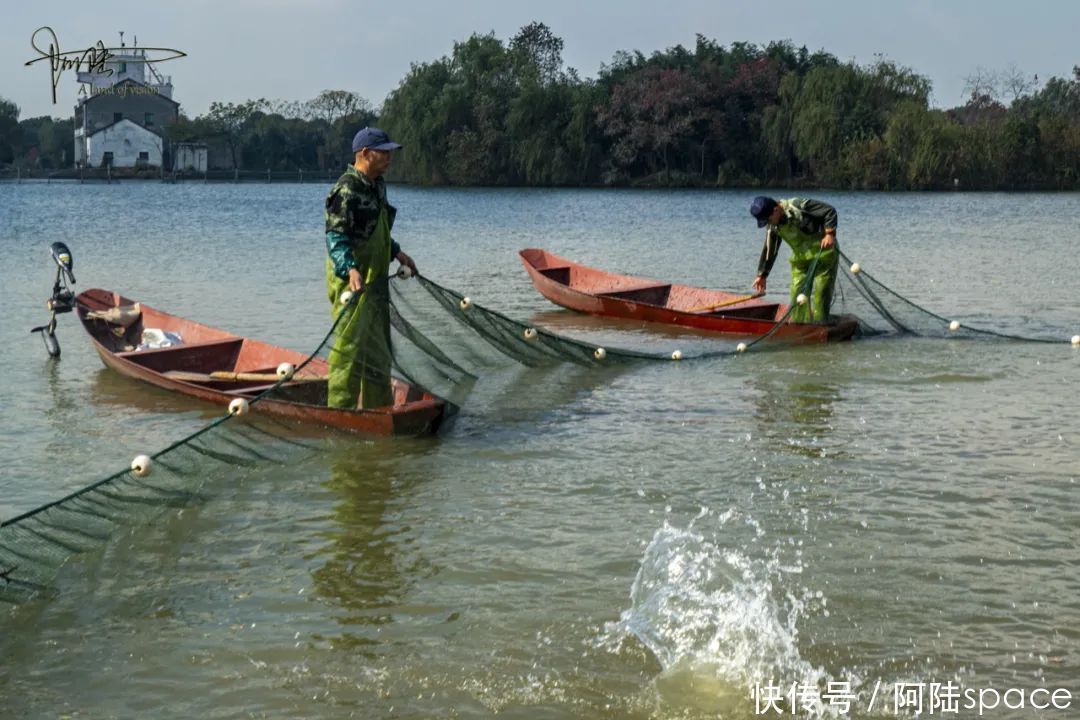 白塔|白塔湖里有个桃花岛，可以现场观看当地村民捕鱼，场面极为壮观