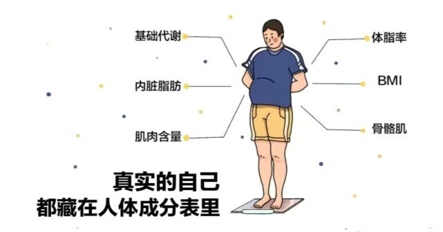 人造黄油|健康不只是体重秤上的数字那么简单