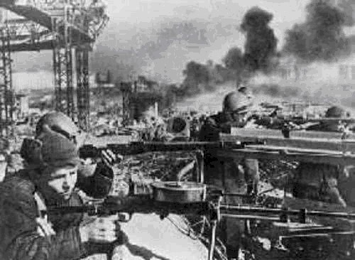 德国|德军二战的100万“动物部队”,没它们可能早就输了