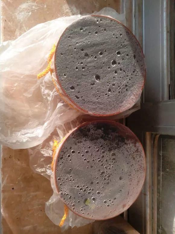 试试看|花盆里插1根筷子,解决了养花人的大难题,快试试看!