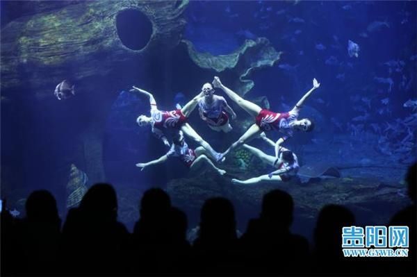 【图集】春节长假最后一天 贵阳海洋馆迎来客流高峰