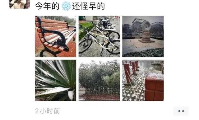 冬天|突如其来的滨医初雪，惊艳这个冬天