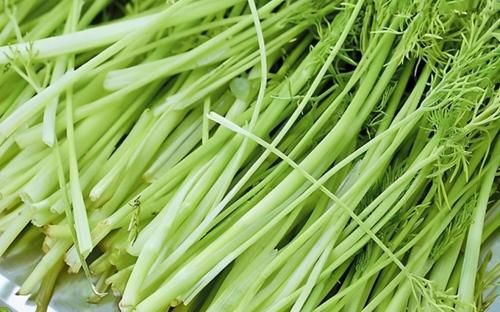 很常见的3种食物，排毒养颜，滋润肌肤，好处多多