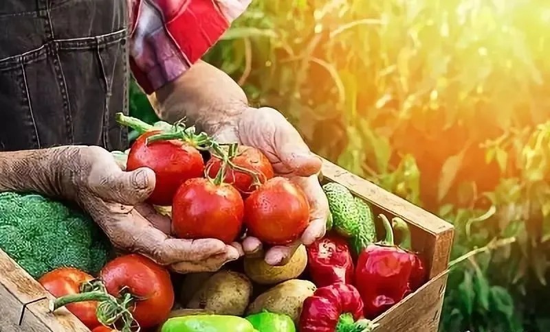 牛油果|“铁打的胃”也抗不住这12种烧心食物,胃不好的人都少吃点吧!