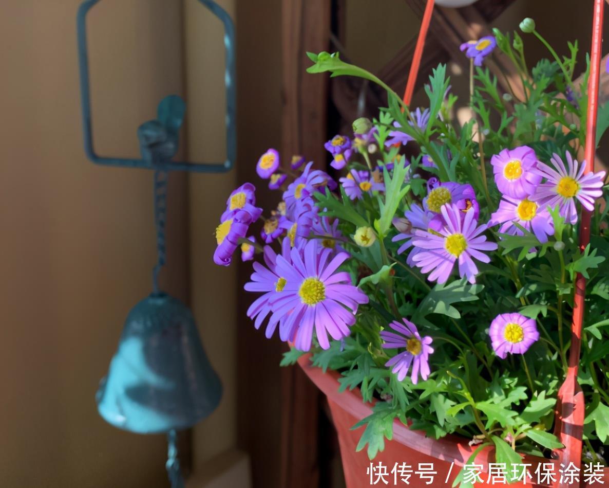 养花有没有技巧?用心记住“这些事”,就能从养花菜鸟变养花高手