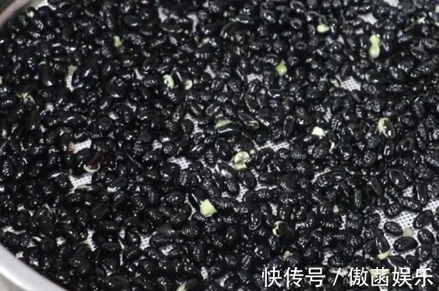 醋泡黑豆|黑豆全身都是宝,简单一做,营养又好吃,美容护发,养生效果极好