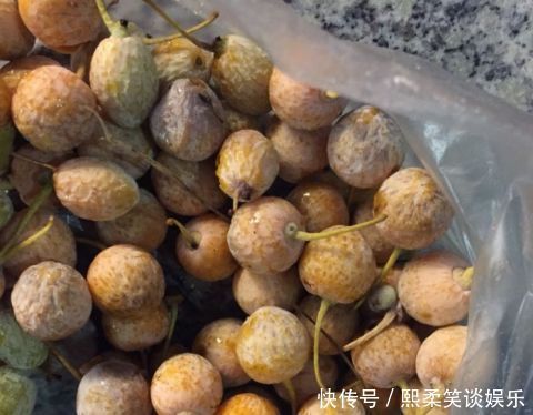 紧急提醒!街头出现的这东西千万别乱吃!严重可致命