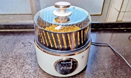 猪牛|秋季,少吃猪牛羊肉多吃它,一次做好存冰箱,随吃随取,营养解馋