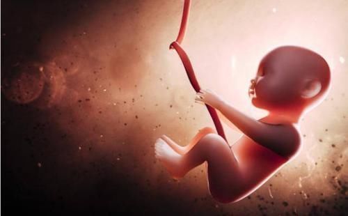 小宝宝|孕妈熬夜的时候,胎儿在腹中忙着“排毒”,看完答案后还敢熬吗?