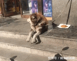 刘备|让你们没有想到的是刘备也很厉害