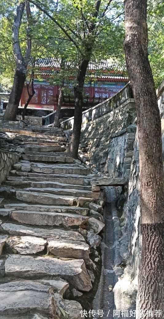 大觉寺|莱芜人在北京：游西山大觉寺