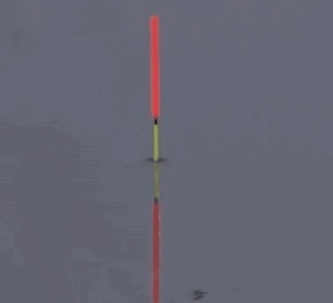 钓鲫鱼漂相不止顶漂和顿口,下面这几种漂相中鱼率也挺高