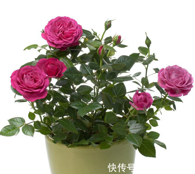 生活如歌 亦如诗