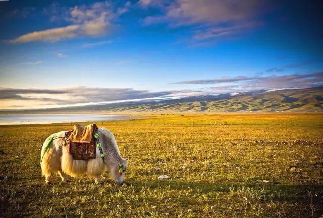 有生之年|有生之年一定要尝试的12个旅行体验，完成一半以上才算真会玩！