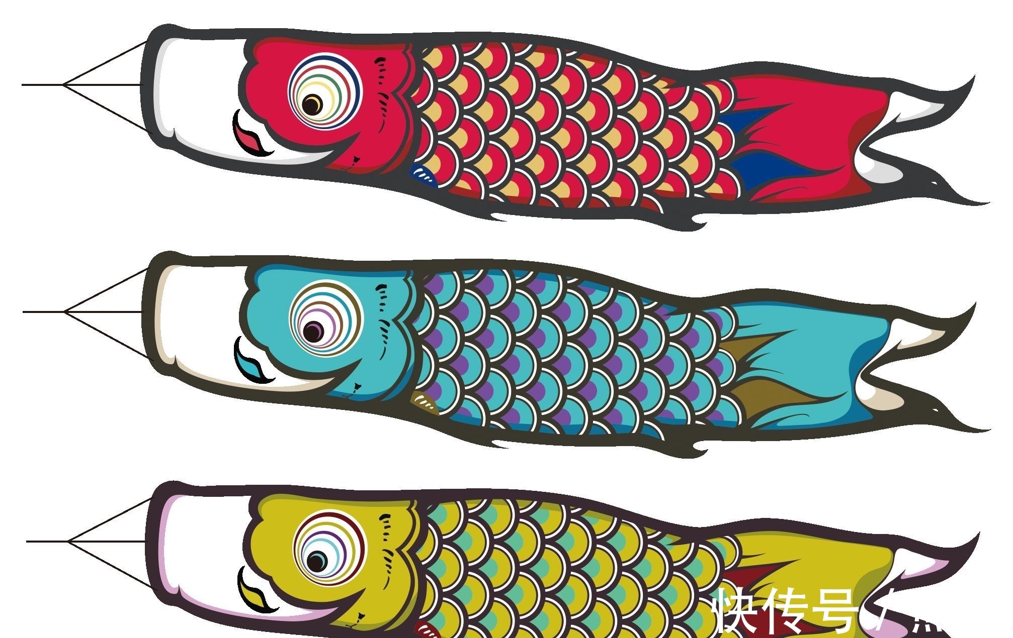 亚洲鲤鱼&鲤鱼的多样“人生”:孔子后人不吃,美国泛滥成灾,日本视其勇武