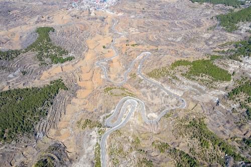 探寻大山深处的济南金刚纂村，盘山公路蜿蜒曲折，村里有两棵古树