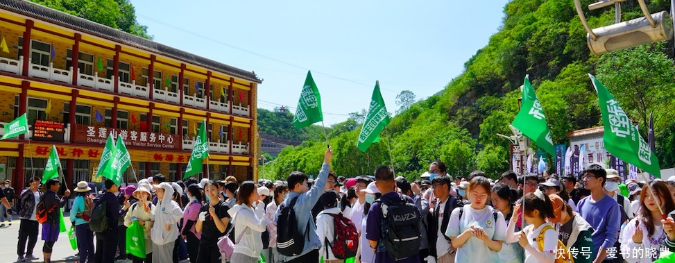 绿野网|环保公益这件事绿野坚持了九年绿野“青山行动”圆满完成！