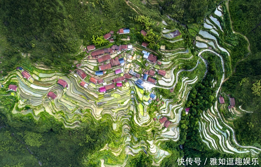 瓯江|瓯江山水诗路启动启航仪式 一起去看云和花船吧!