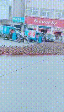 |搞笑GIF:那天送孩子去上学,提前了一个小时,还是迟到了