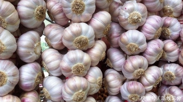 从不|聪明的人从不碰此大蒜,更不吃,你知道为什么吗?快来了解一下