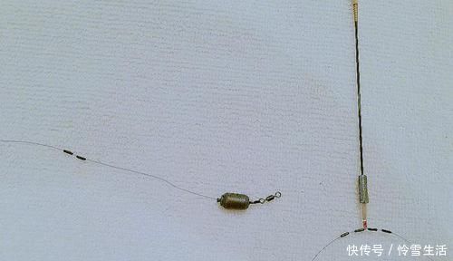 截口|钓不同的鱼,用不同的浮漂,浮漂如何选用?看看老钓友怎么说