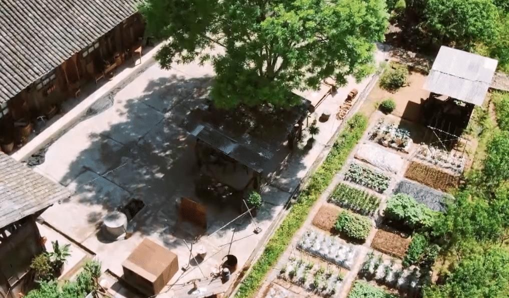 奔跑吧|《快本》开启户外录制，游戏转室外换汤不换药，利路修在线下腰