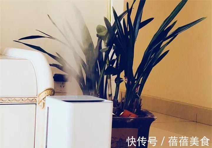 这花先别搬进屋,放外面冻20天,很快就开花