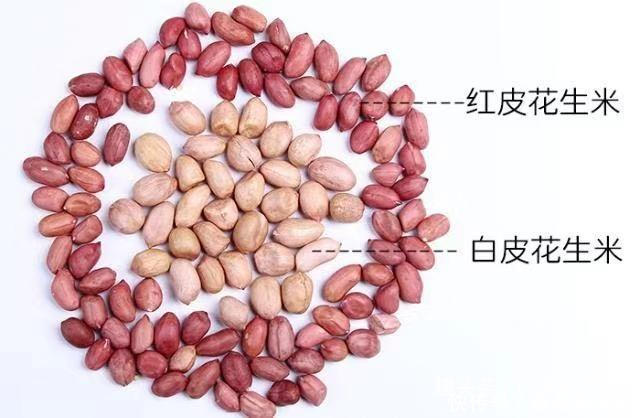 花生米|买花生时,挑红皮的还是白皮的多亏商贩提醒,以后别再乱买了