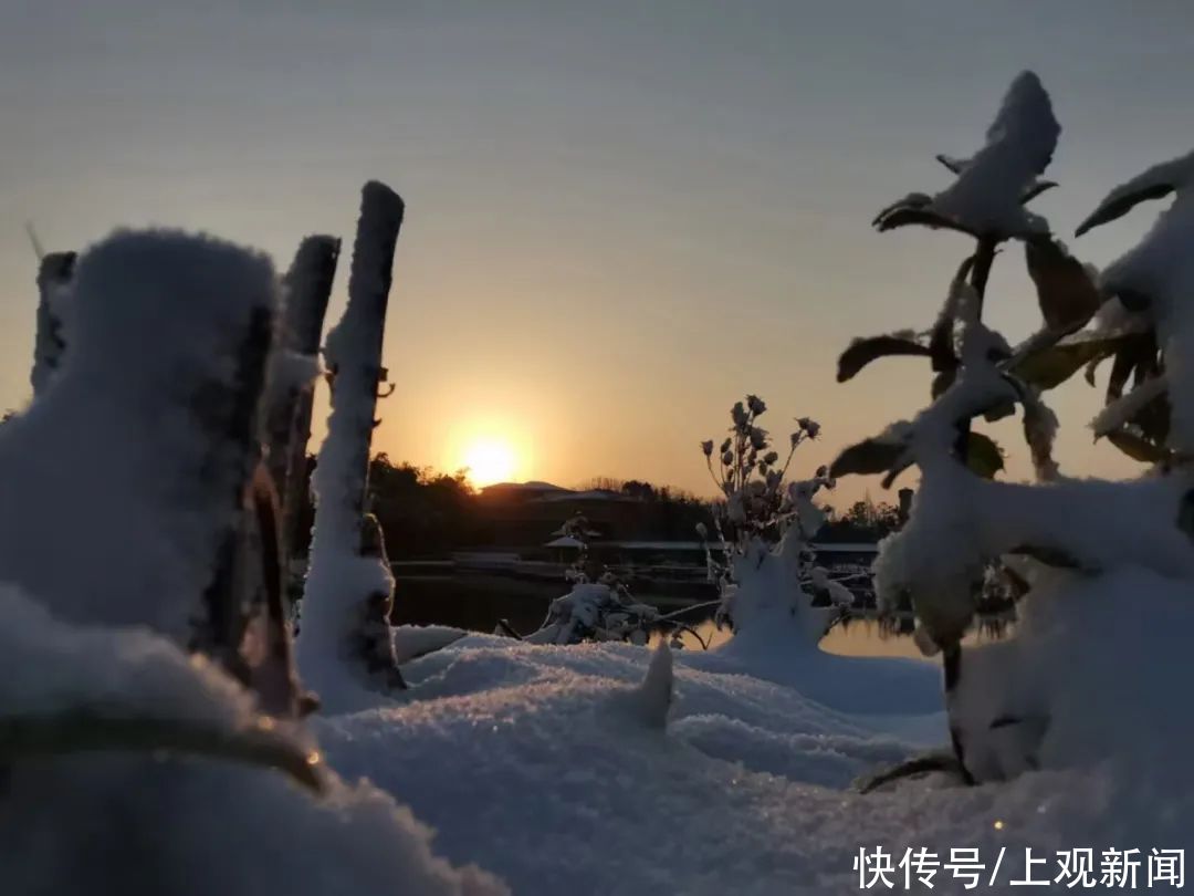 上海域外“飞地”的高墙雪景