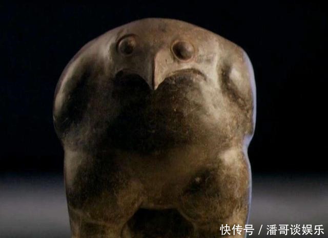 这一下|不够走运的鹰,这一下就“思考”了5000年!