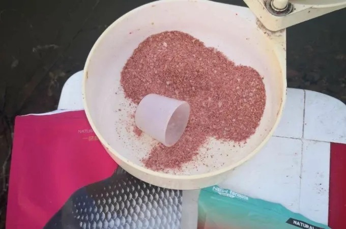 老司机:冷天开饵岂能乱来!多用四步,中鱼率高,刚下竿就有口