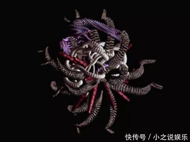 人类你别以为自己长得美,事实上,生物就该美成异形那个样……