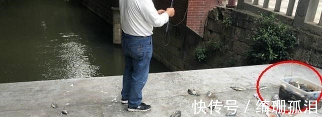 实拍广州城中村河道，野生鱼成灾，有人一天钓几十斤，却踩死丢弃