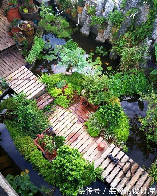 鱼池|为了露台他买下顶楼,一番大改后过上了田园生活,让人羡慕!