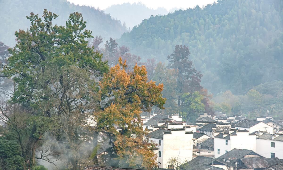 日暮乡关，依稀流年，最美的风景，不在远方，只在当年