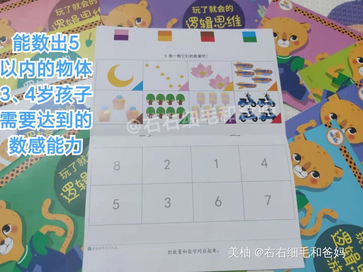 幼儿园数学教具大开眼界，家长在家没教具，也能教数学吗？