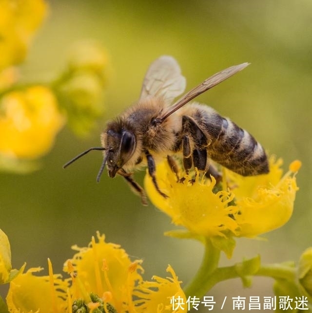 射手座|7月，红豆相思，难忘的是你，3星座邂逅情缘，甜蜜幸福