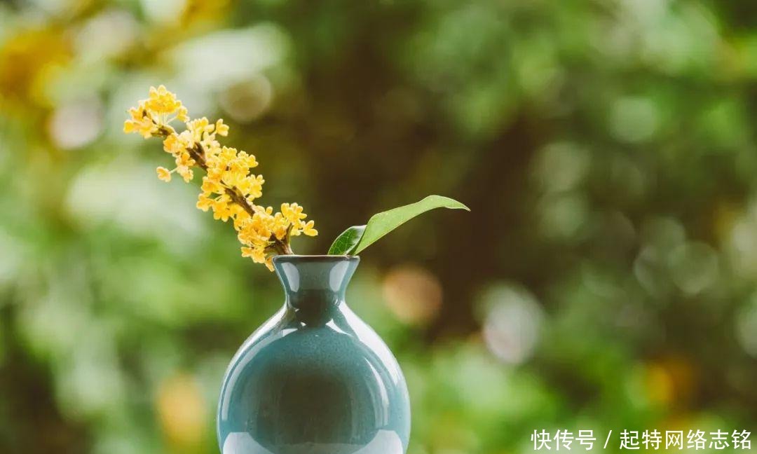 五首桂花诗词:一枝淡贮书窗下,人与花心各自香