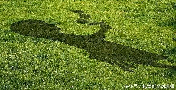 孩子|教育孩子的5个最佳时机,尤其是第3个,太好用了!