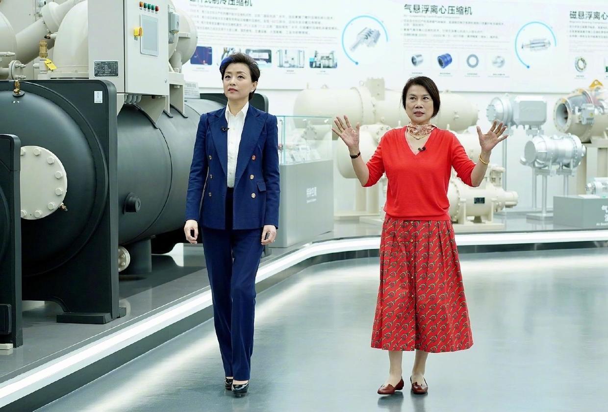 平底鞋|杨澜“阿姨圈顶流”,穿一袭黑色亮片礼服出席活动,高贵减龄