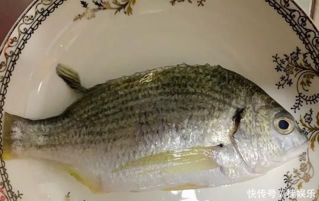 潮汕人所说的黄墙,原来是一种鱼,肉质十分鲜嫩,鱼皮也带着鲜味