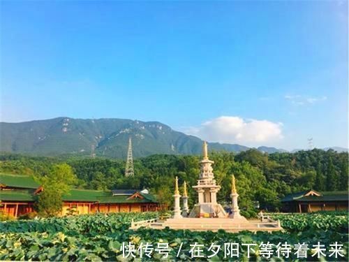 东林寺|我国最良心的寺庙，不用门票烧香拜佛免费，却阻止这一类人进入