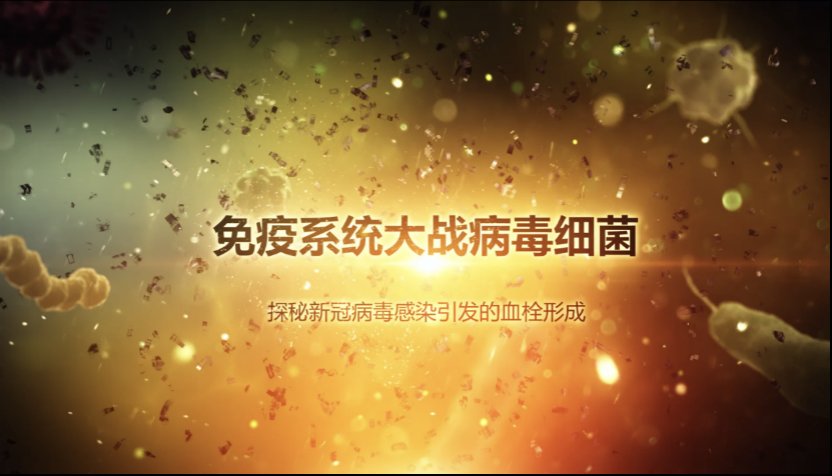 免疫系统|中国医生破解新冠谜团，抗疫喜添新武器——《免疫系统大战病毒细菌》动画记录片之观后感