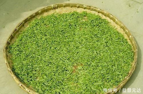 高血压患者|此物被称为高血压的克星,没事喝一点,平稳血压,还降脂降糖