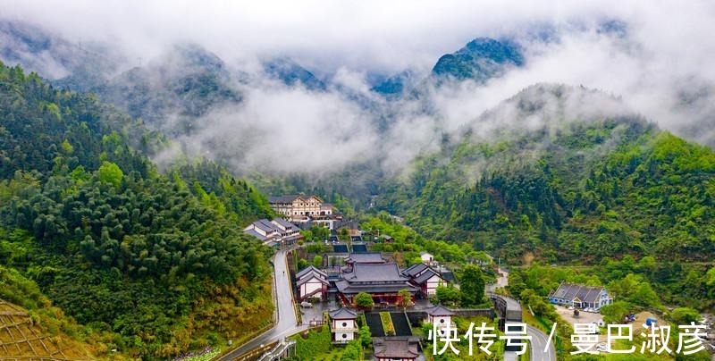 避暑胜地|中国最美的高山草甸，被称为绿色天堂，是著名的避暑胜地